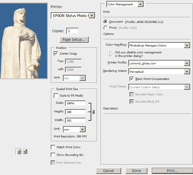 Печатаем фотографии с профилем принтера из Photoshop